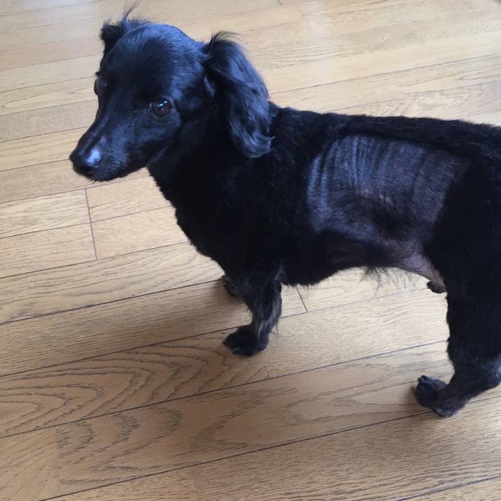 Eda837c2 26d0 4abc a454 f20c469e1d3c 1514329333057