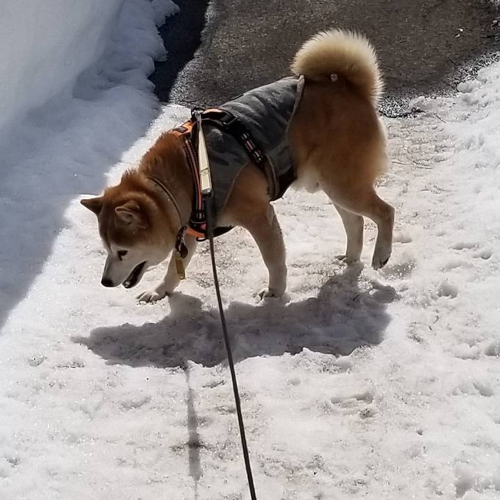 Eda84174 9d12 4456 b357 14488db60a1a 1646280925989