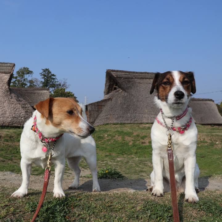 Eda869dd bf81 4251 ad58 ec433f984d66 1522799807481