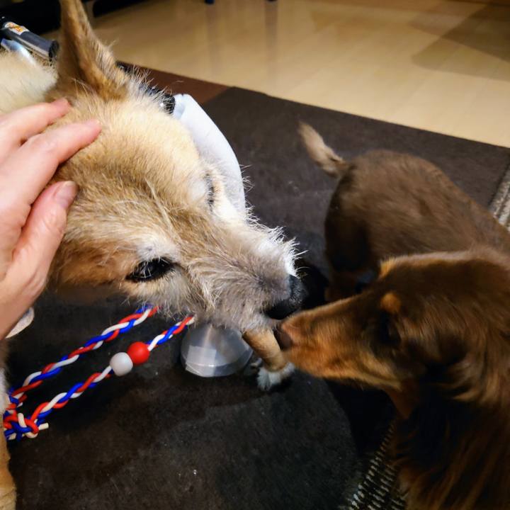 Eda89cc7 7589 4d28 83d9 f400c19e1e86 1662039270755