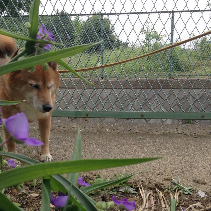 Eda8e162 fe9f 4698 9b38 1a6f5d845dfb 1527299233086