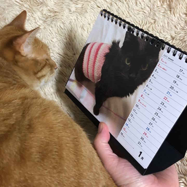 Eda8ea8d 5949 40fa b8e6 5388af6e9923 1672820453674