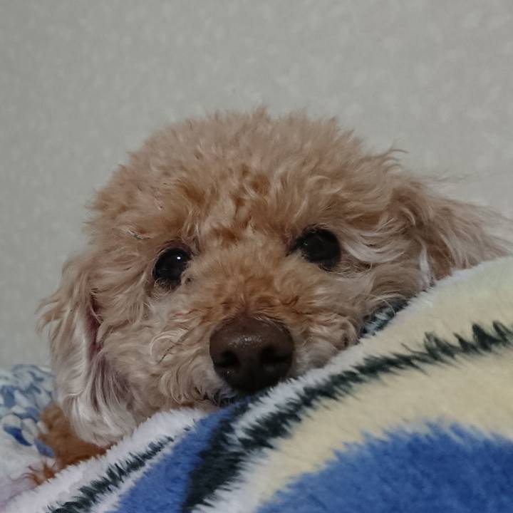 Eda8ef36 f9cd 4813 9bea bc27c8d22411 1615463764542