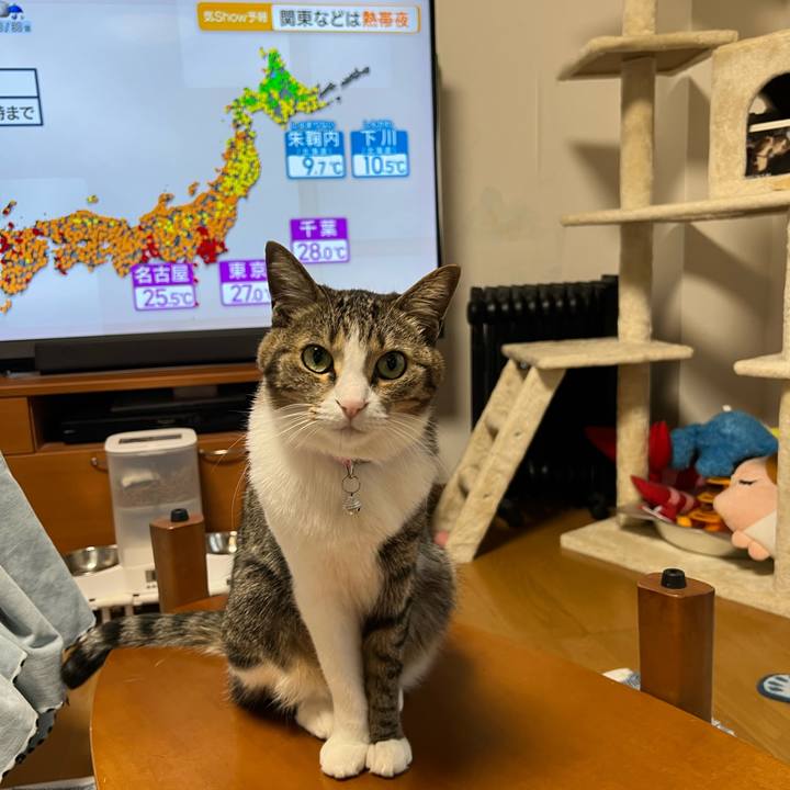 Eda9303a c430 4f4b 862d 10fa4e23ebfd 1757565878118