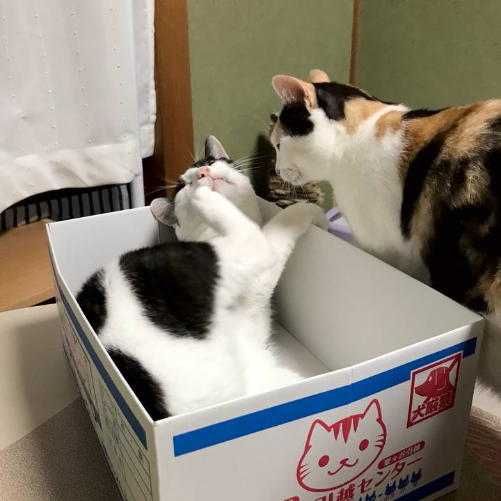 Eda937ff 8835 47b2 81c8 ec07333df24d 1535726242871