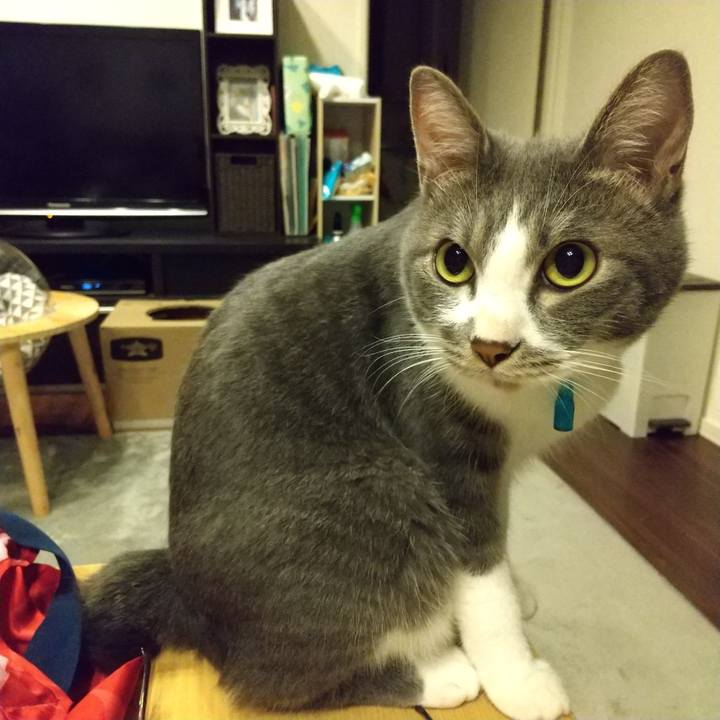 Eda94d20 2582 4fe2 a13b ee9cb9966933 1600610863289