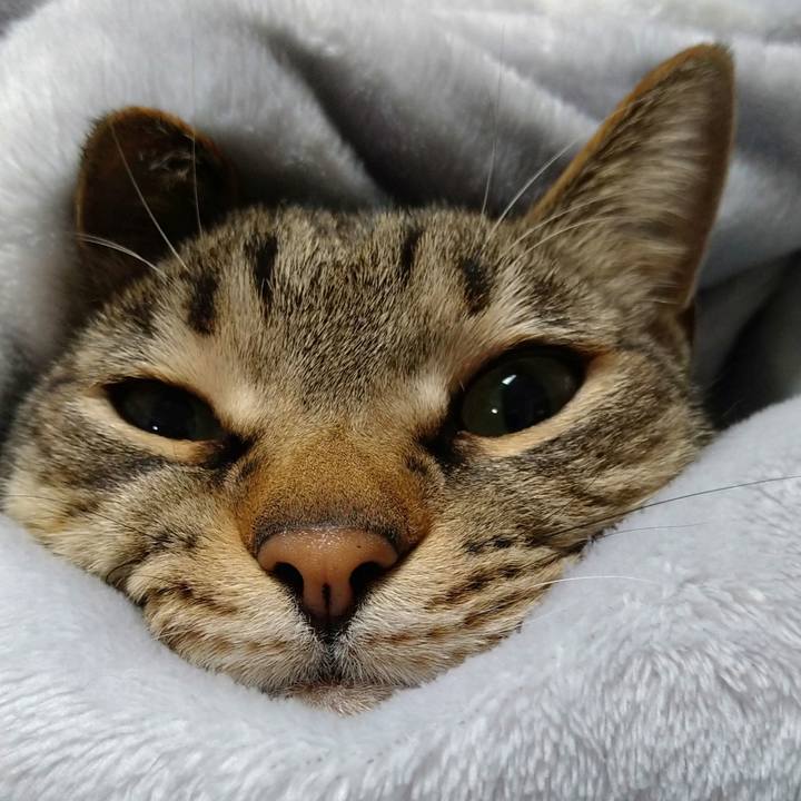 Eda9688b a951 4fdf 8d61 4bac494e8a77 1676015507847