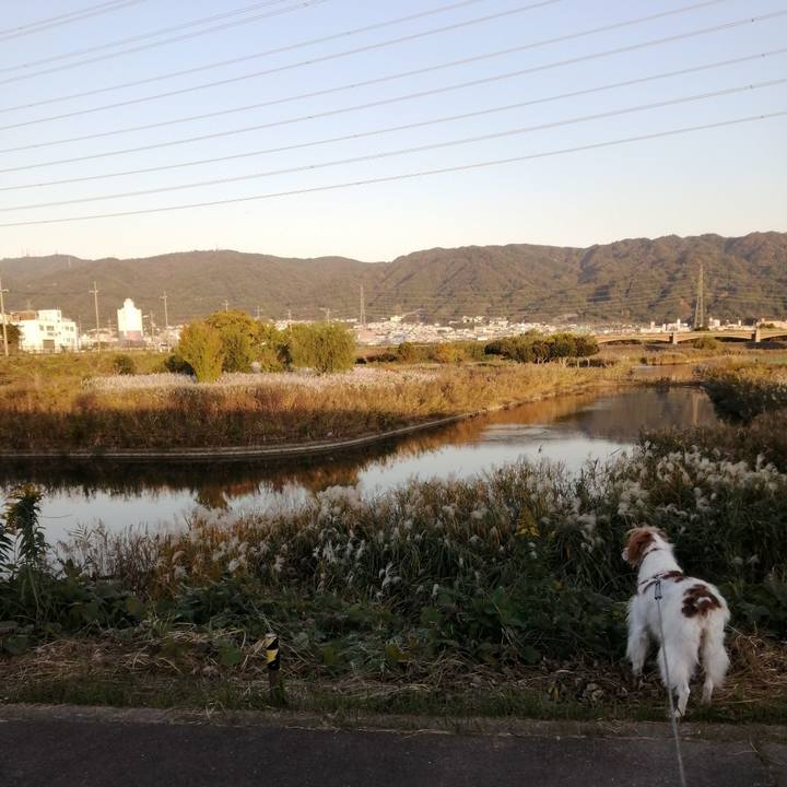 Eda98c27 d2d6 4c6b acab f154ed3302bd 1573807115971