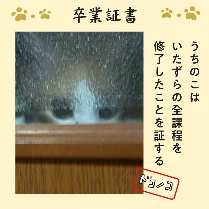 Eda99157 14ce 4896 abb9 4fa66ec5e8f2 1772227465805