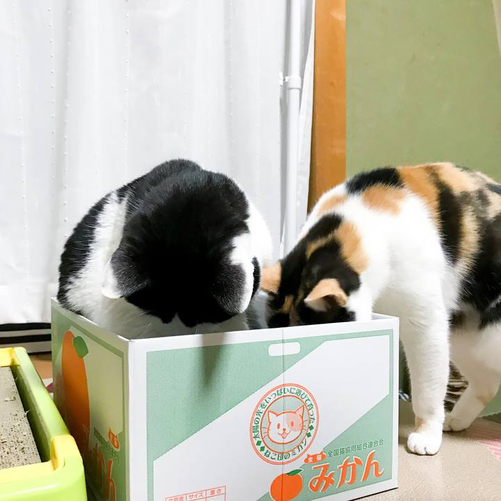 Eda9a14e 3fe4 4eb0 a670 5c34497b84af 1515579408337