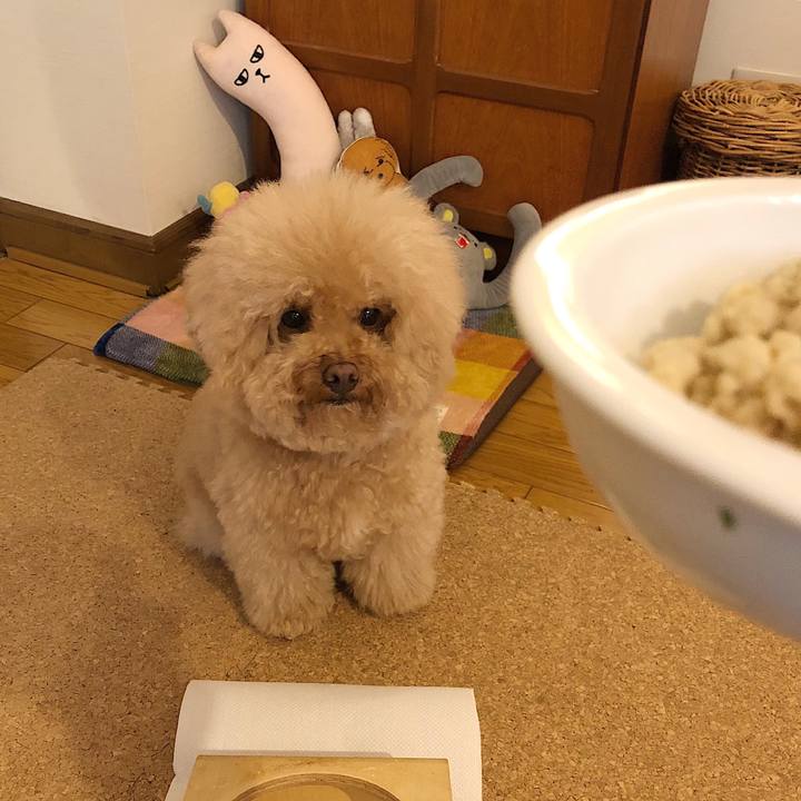 Eda9cfbd fa1c 441f 8549 e0ba01b09d7f 1525857007296