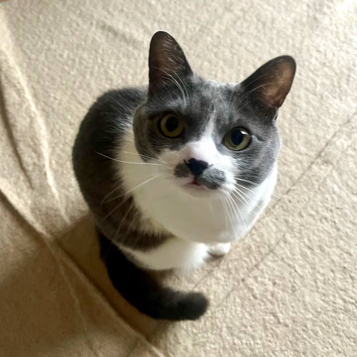 Eda9d77e c5ed 4a38 918a e410143bf346 1708643847291