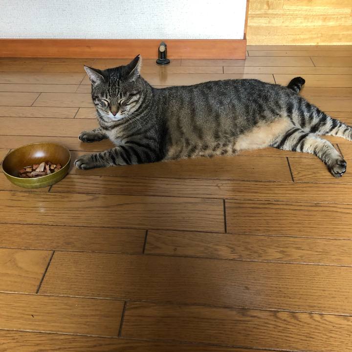 Eda9d86e 4c20 44aa a19d 3d5630d5142e 1566731155018