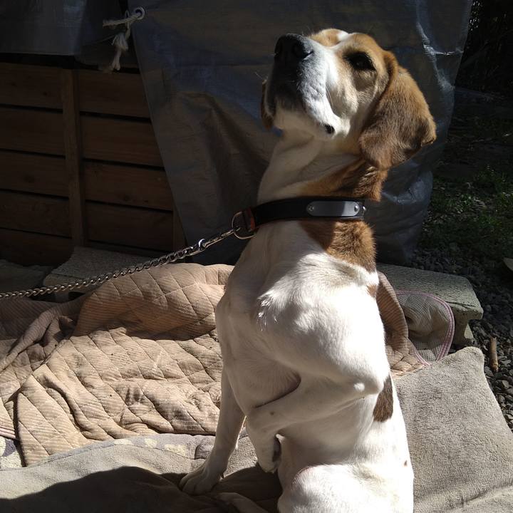 Eda9de24 b781 4da6 a777 f3fadb73df2f 1650890519145