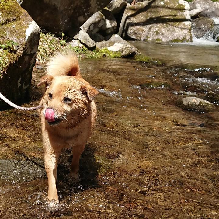 Eda9e98b d99c 4a51 a1ee 34e7a8129b85 1633747448810