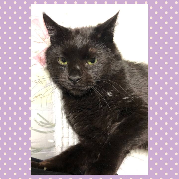 Eda9ebd8 1b84 4412 88b5 48f4091dbd0b 1590840620132