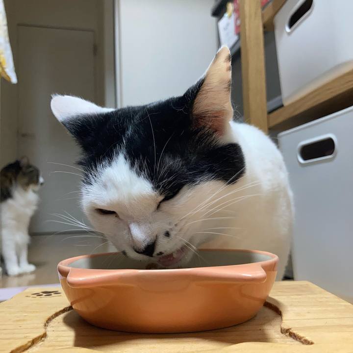 Edaa0e8d a43c 484f b082 b93c09220771 1757883085002