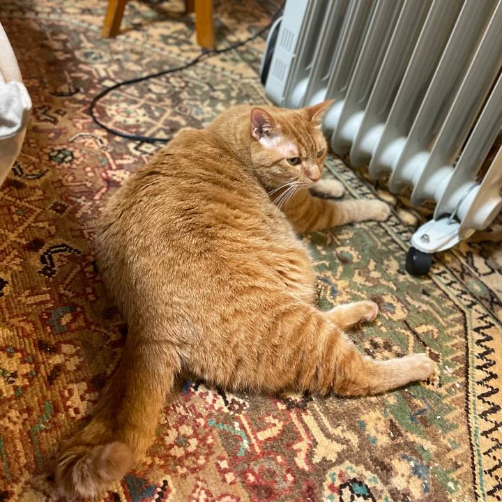 Edaa27ac 0e14 47df a6f2 c2f4192fb9cf 1645874660676