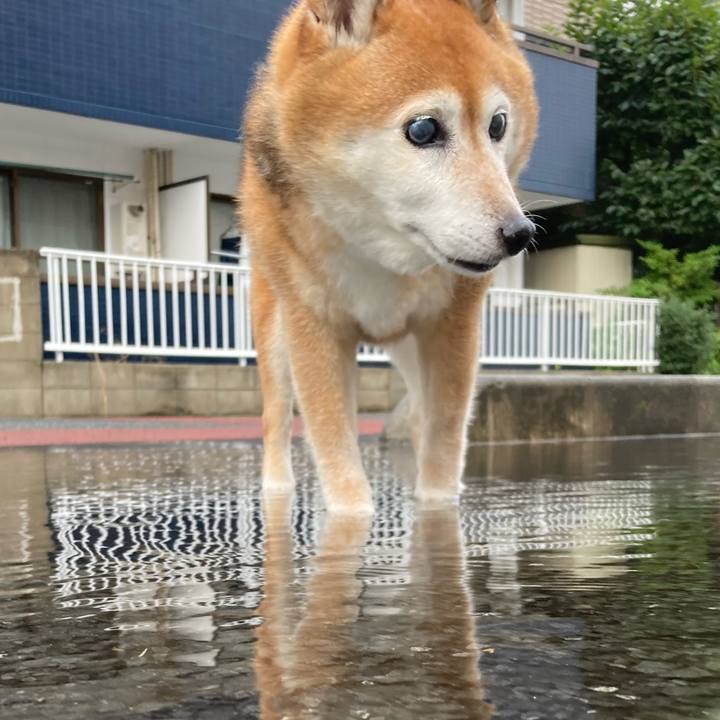 Edaa4f9b d769 41ff 98b2 67d780f8c8af 1720259396970