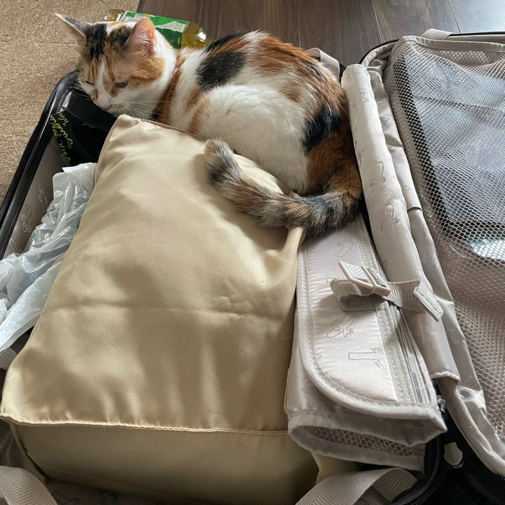 Edaa5323 f62f 49ad 890b 53f5df36913e 1657960862645