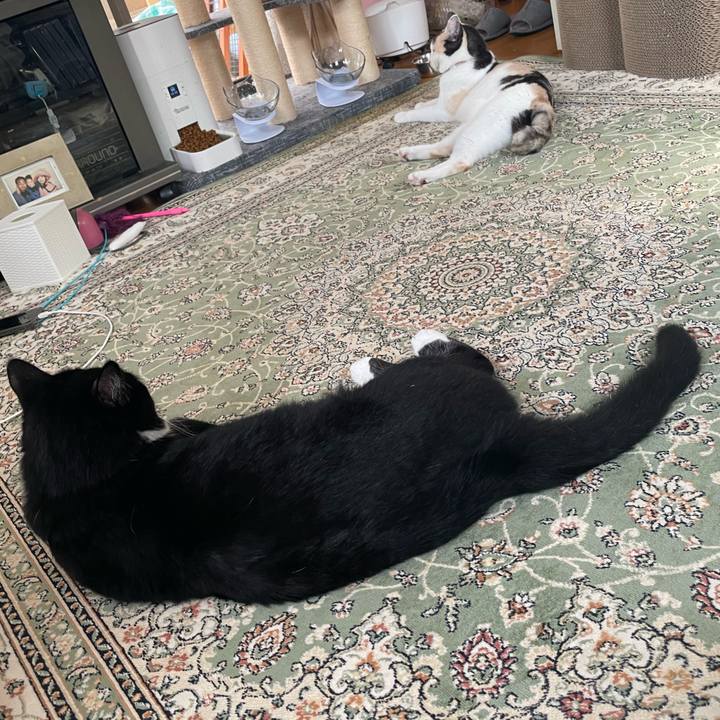 Edaa5379 8209 43fa 9e03 6236d606d3d1 1751235073022