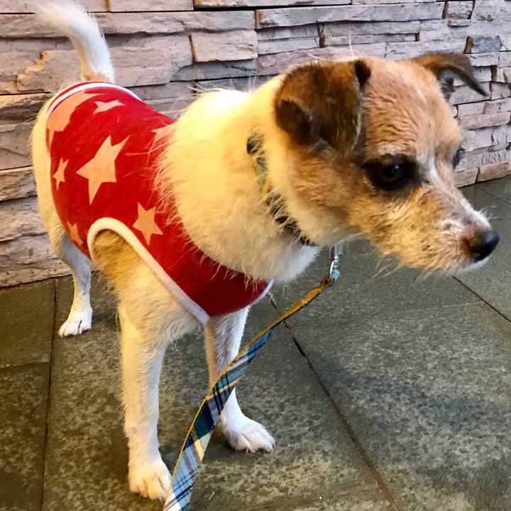 Edaa558e 510a 45d7 801e ae83bc6132de 1599470168085