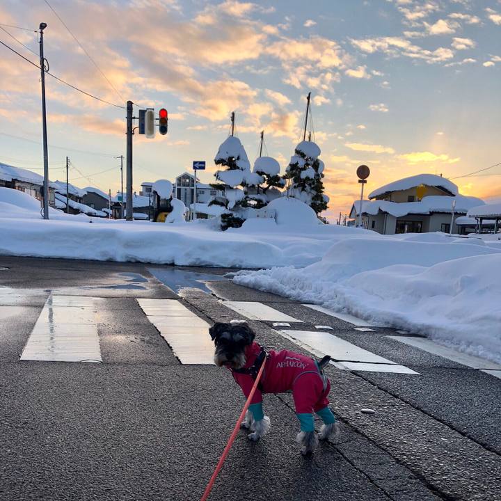 Edaa5acf fee5 404d a44d a88729f93b5f 1610275133028