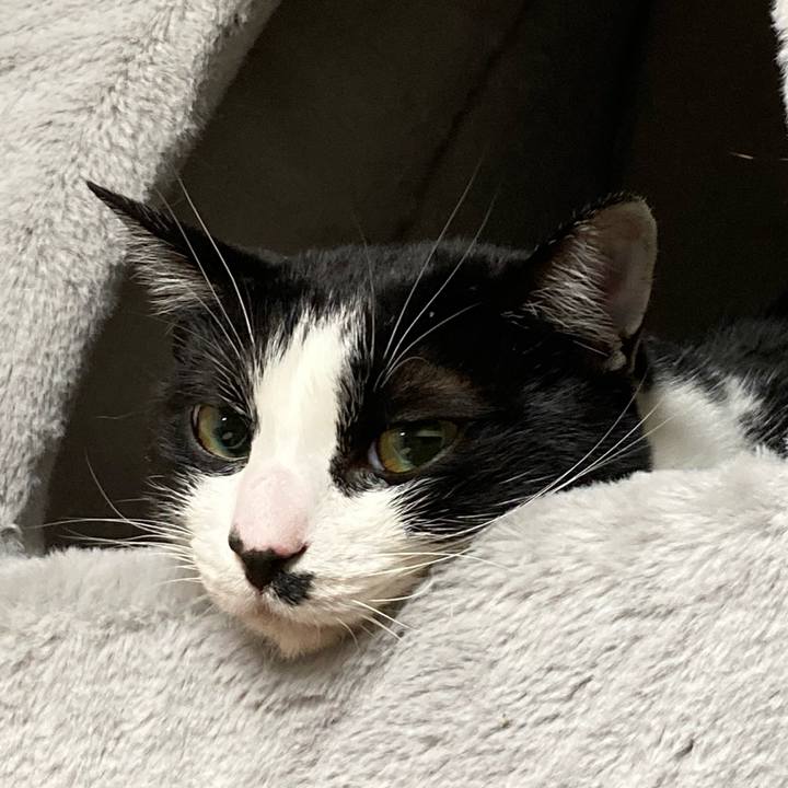 Edaa7761 bedc 4c1f a643 73a49d42f9dc 1608936992759