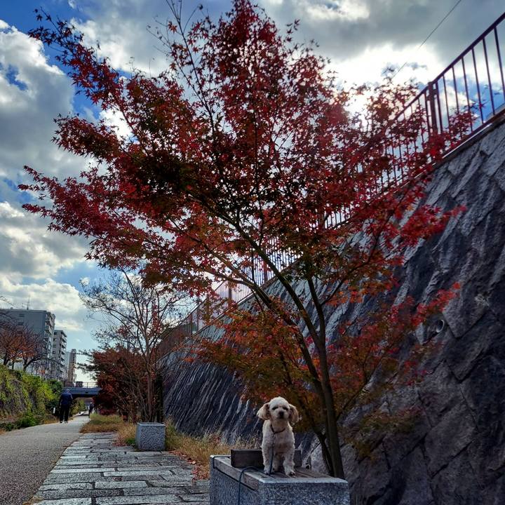 Edaa8b6d 3e3c 4bd1 bc0a eb6a577b6182 1637904122618