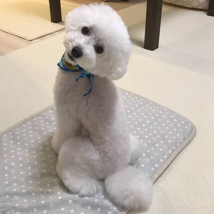 Edaaa877 cad6 4ea3 9054 05d7b6070286 1535108620617