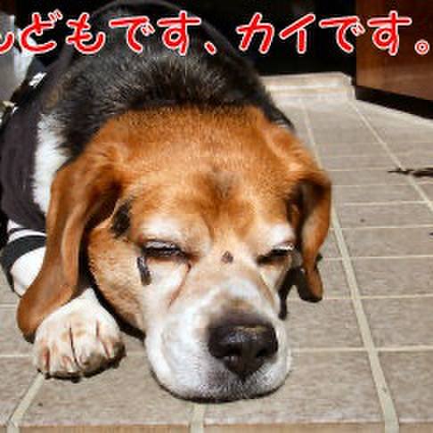 Edaaaa4d 8184 4aca b541 26949dd2cf4a 1707780295322