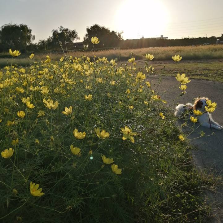 Edaab223 43e2 4b0d 97be d406e41e43b5 1602227416790