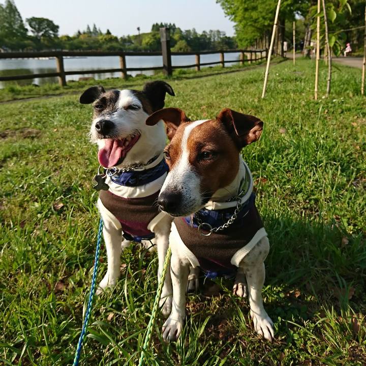 Edaad7cf 8367 4bee 8d9a c9f34fe52b80 1588147629176