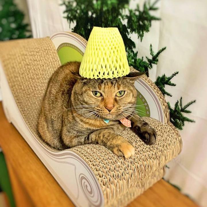 Edaae3d1 8f5a 444a a7ec 262ebe16283d 1558832743228