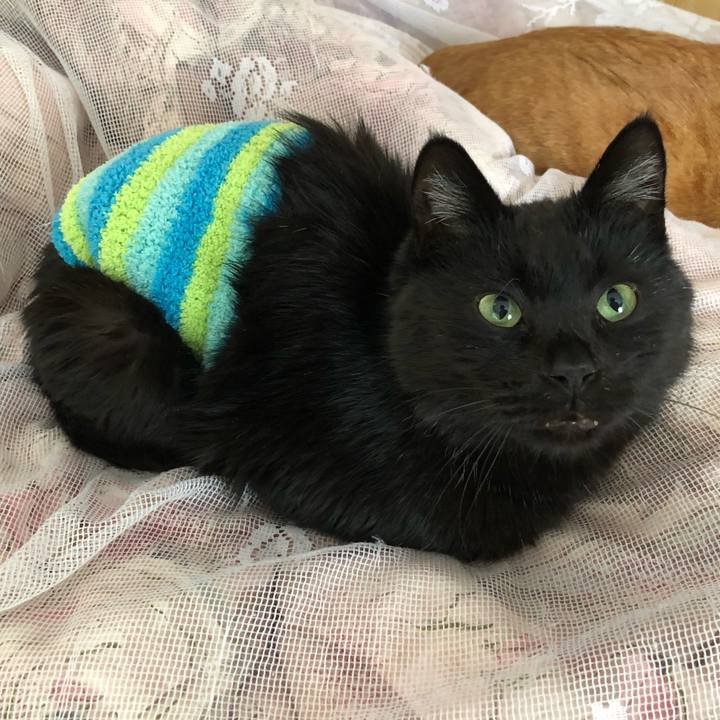 Edab12aa 01df 4751 ab43 bde0c6bc2dd6 1608431311165