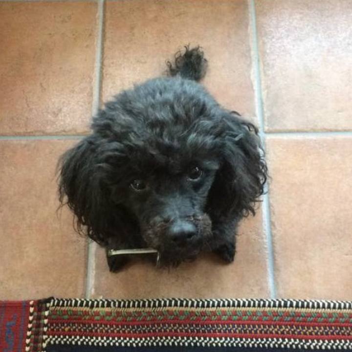 Edab2299 e57a 40d9 a21e f7f281412800 1647987065795