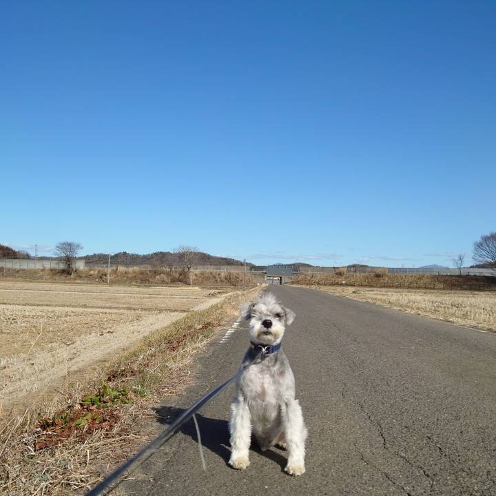 Edab4def 4cf4 434e a542 95b082021f16 1773470499358