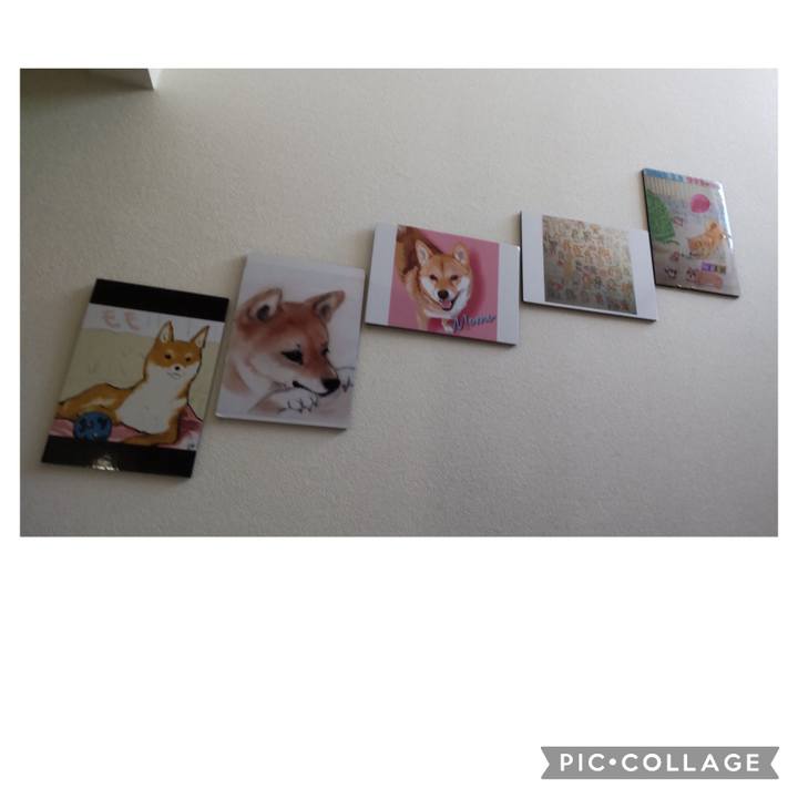 Edab6d2e 52f5 408a 8dfa 12074070ba33 1693201246043