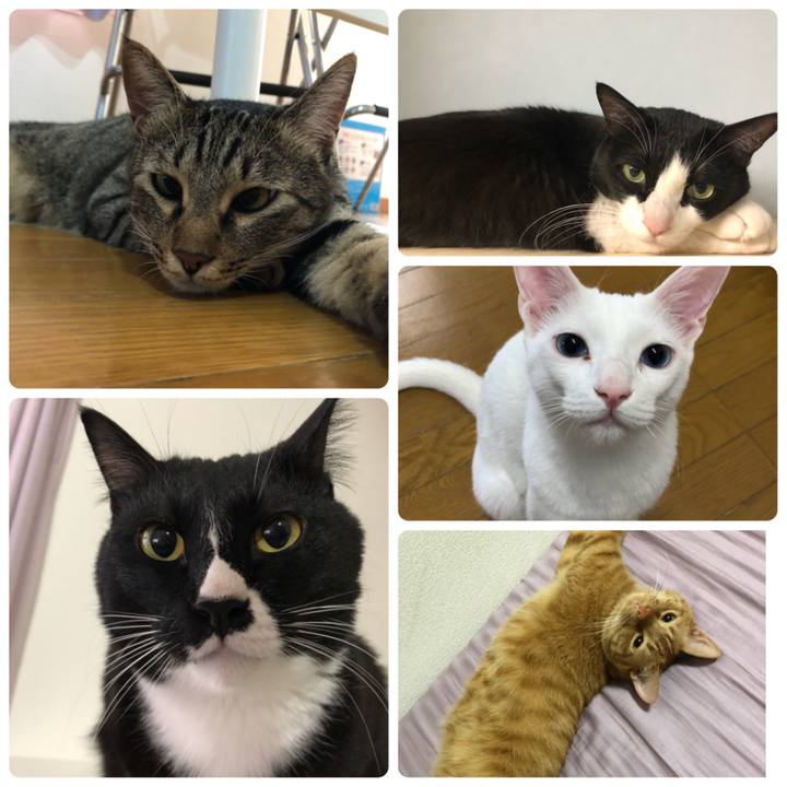 Edab812d 7f63 4b14 bc5b cc2c49acd036 1559892389749