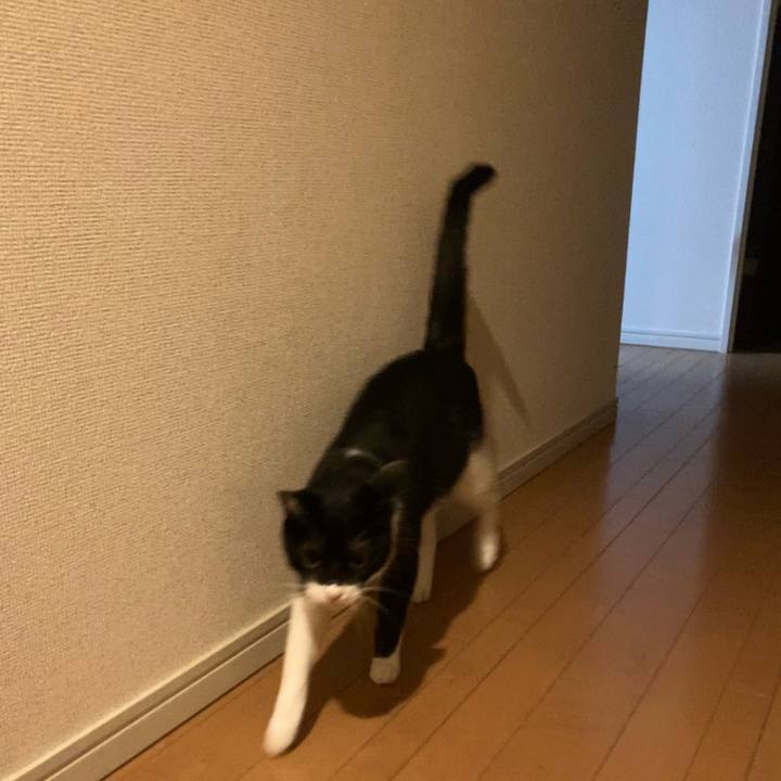 Edab8db8 8335 4f75 bd6b feb20de3b268 1634478894140