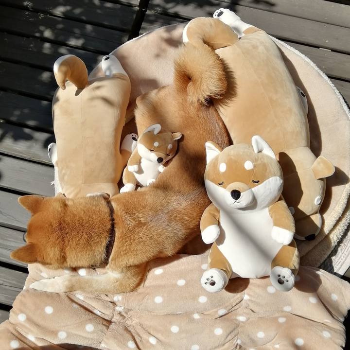 Edabaa17 20dd 4ed0 9ffd ce523f854e57 1585101764908