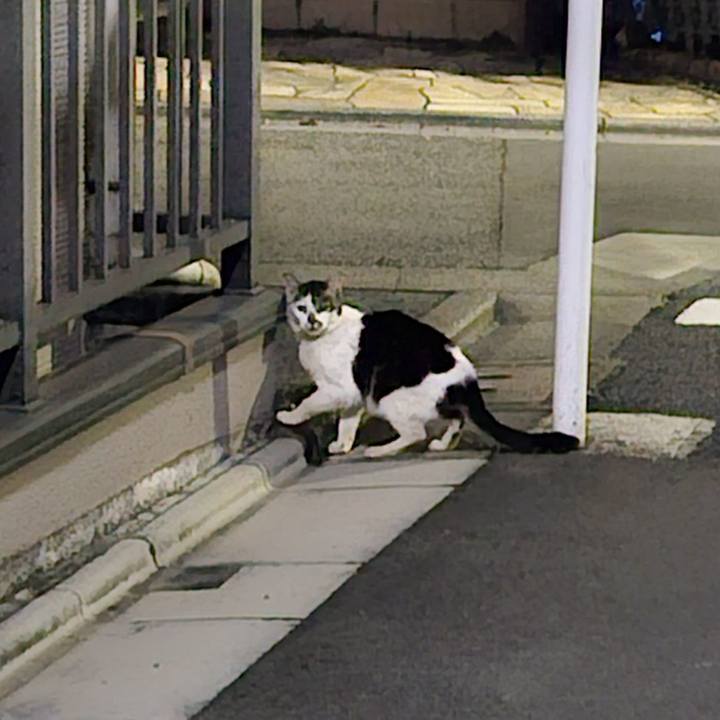 Edabaa31 834c 4eea 900c 4fe98ebb5829 1718713464850