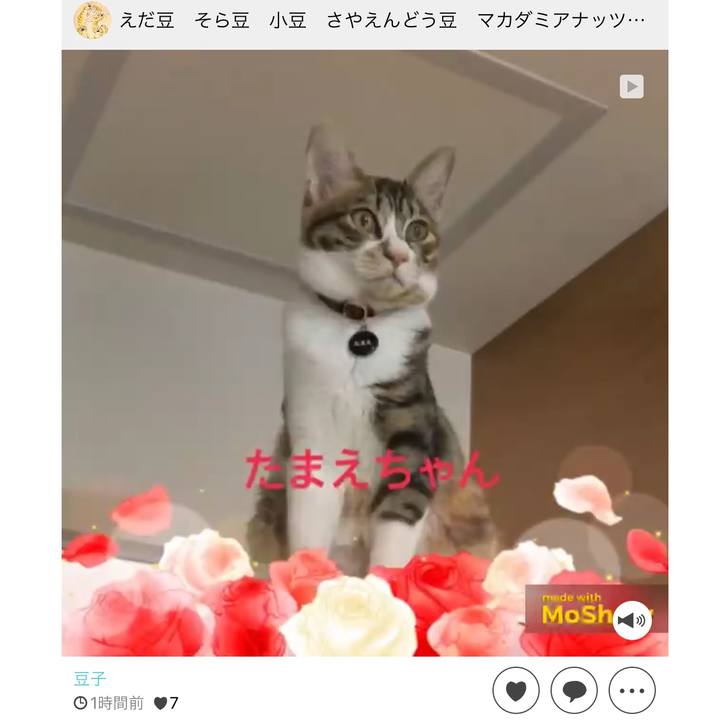 Edabd283 a4ea 4640 8986 1d48ff1bc1d9 1642832063133