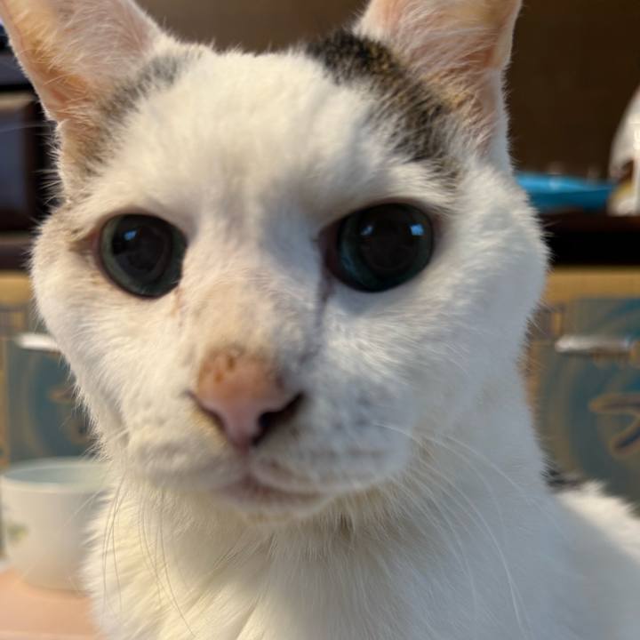 Edabdaba eb6d 4f75 9902 ae26c774ee4a 1762136780571