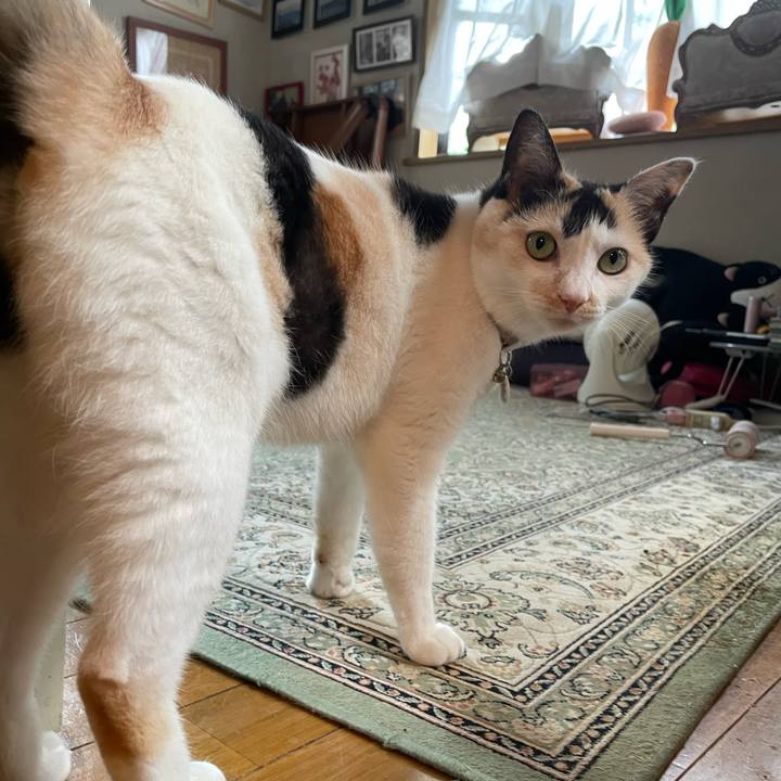 Edabe61a 52fd 45bf 8c0e e836453366d4 1751677852479