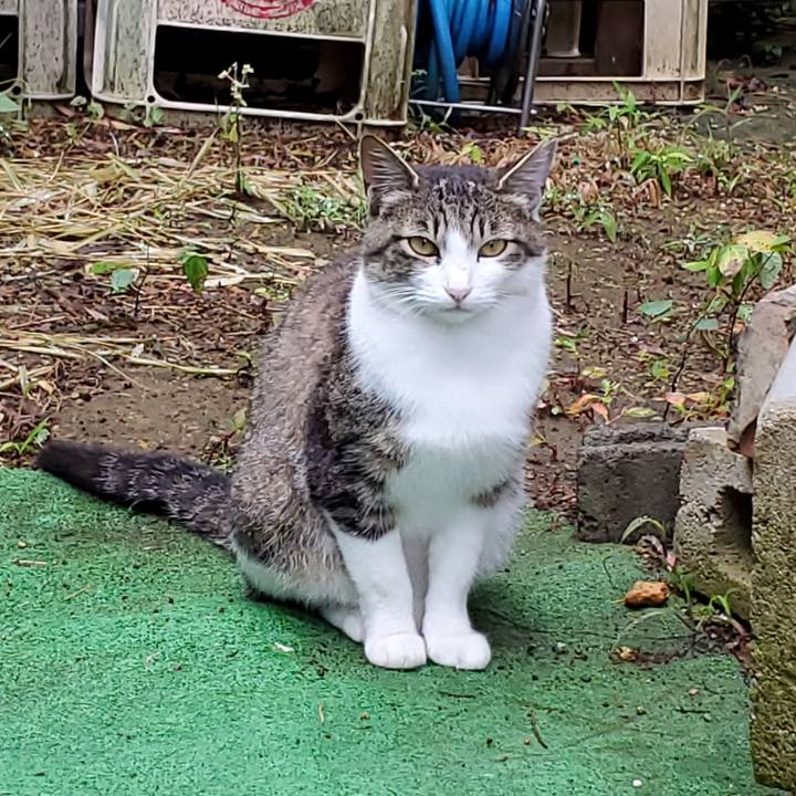 Edabf571 d98c 44cf 81bf f149c1968e5a 1719447159988