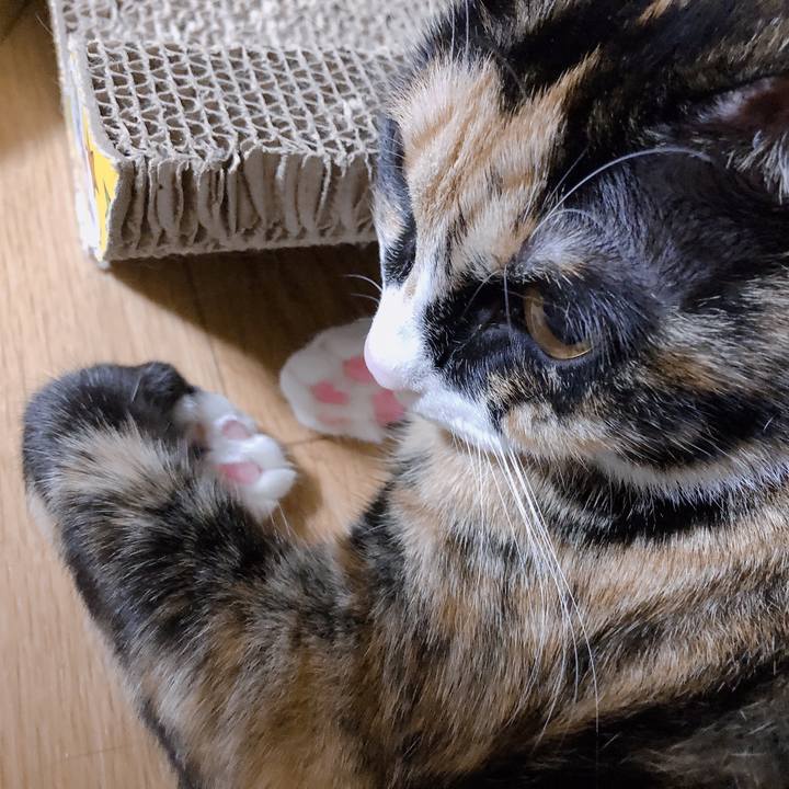 Edac2589 86ab 4f8e 9bbd d57dbb43a91a 1570799853563