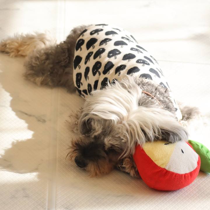 Edac3c8b 5677 4e82 ae71 fc22dba37476 1774247766215