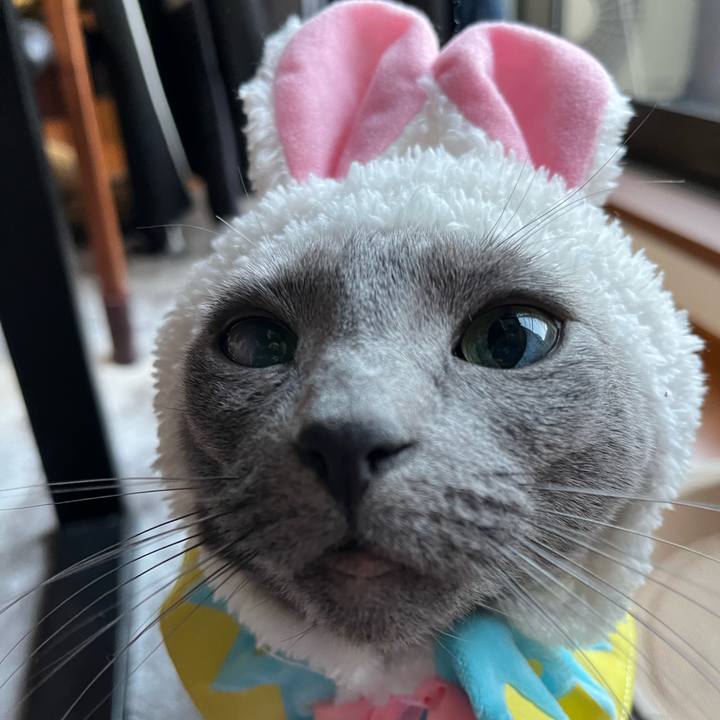 Edac5754 0e87 4d25 a493 2355904c925a 1681030378870