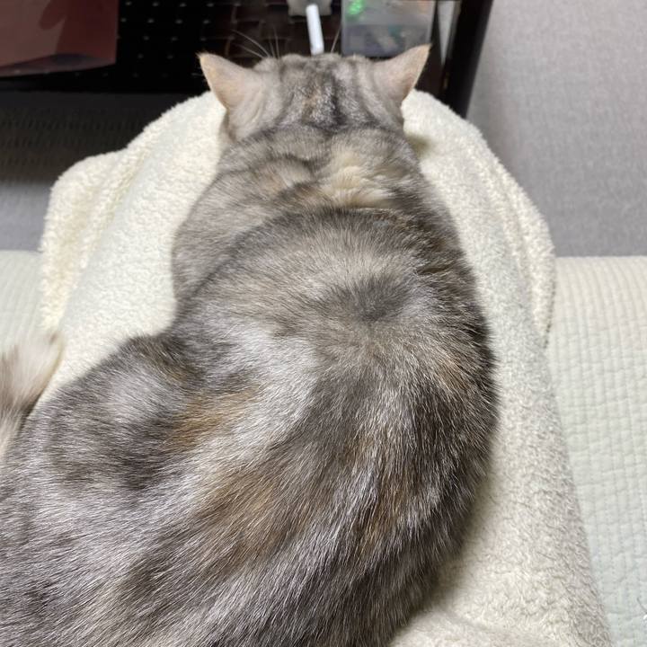 Edac8178 4108 440c bd4c 3c58fed59c3c 1737881459249